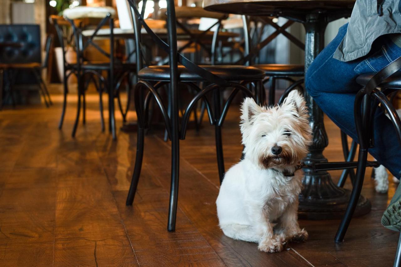 The Seaburn Inn - The Inn Collection Group Sunderland  Esterno foto